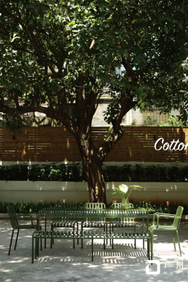 CottonCastle摄影空间